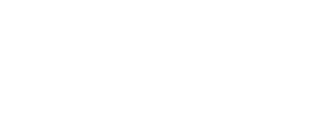 Palnet Logo